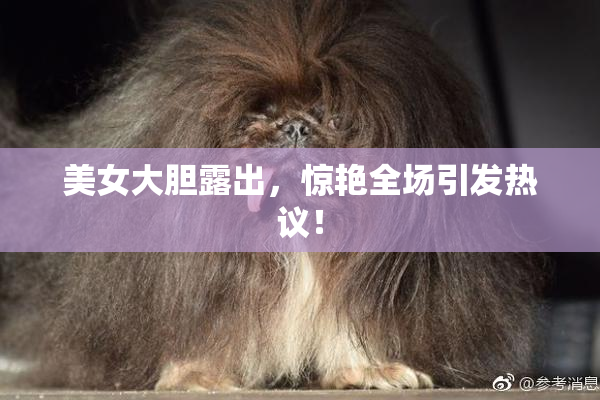 美女大胆露出，惊艳全场引发热议！