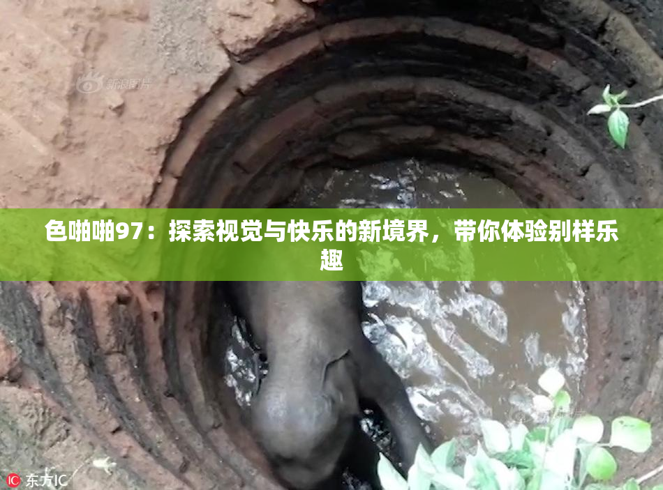色啪啪97：探索视觉与快乐的新境界，带你体验别样乐趣