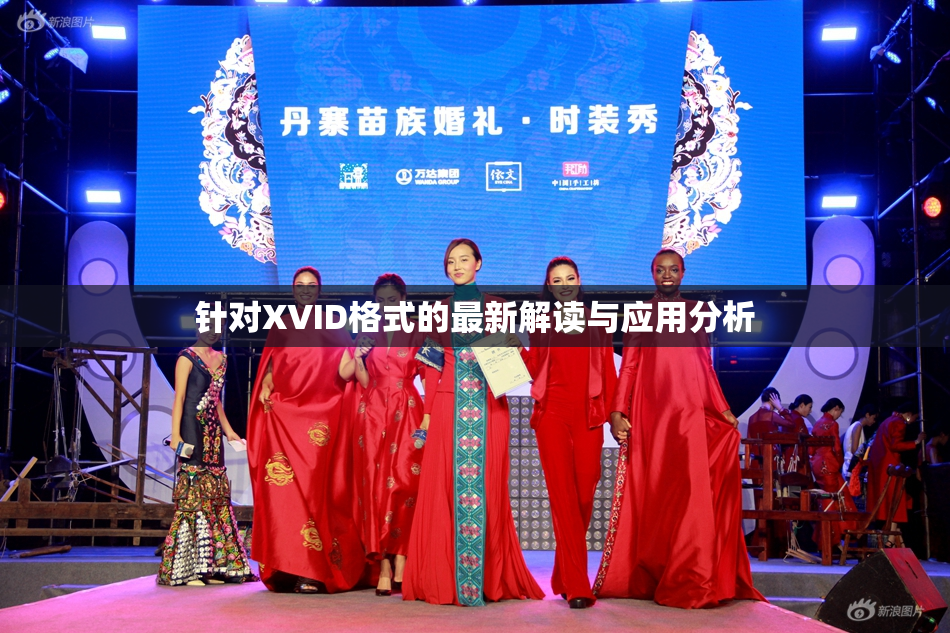 针对XVID格式的最新解读与应用分析