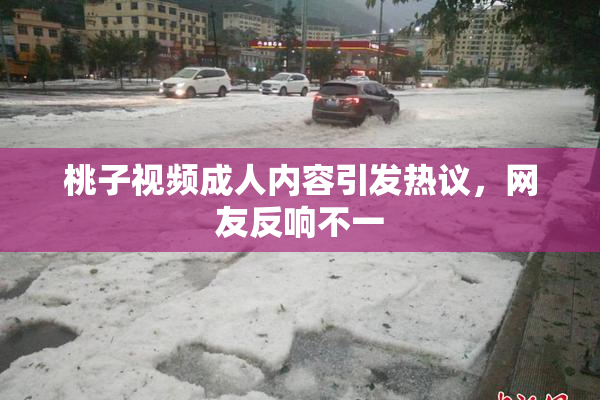 桃子视频成人内容引发热议，网友反响不一