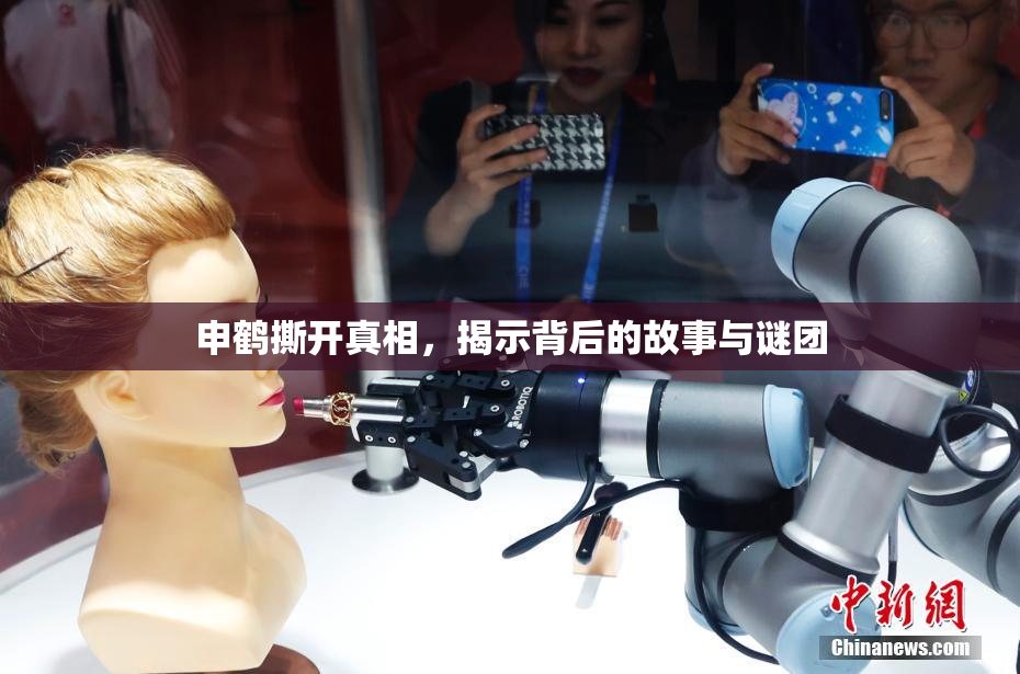 申鹤撕开真相，揭示背后的故事与谜团