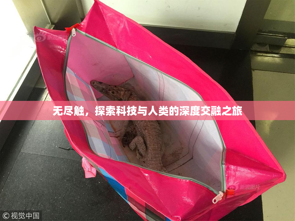 无尽触，探索科技与人类的深度交融之旅