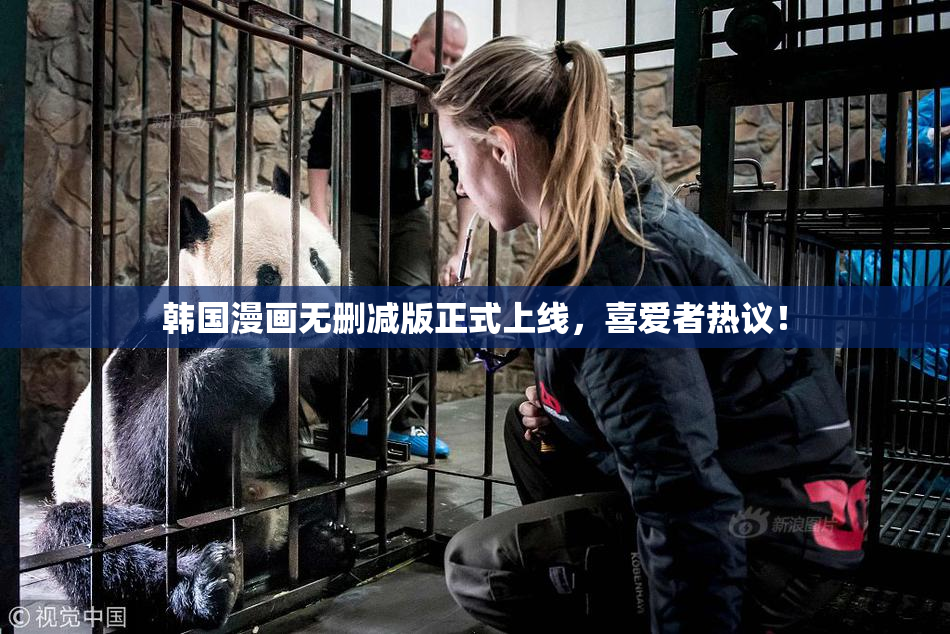 韩国漫画无删减版正式上线，喜爱者热议！