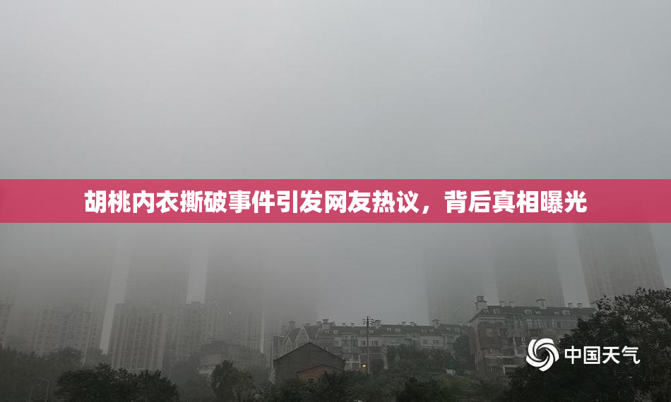 胡桃内衣撕破事件引发网友热议，背后真相曝光
