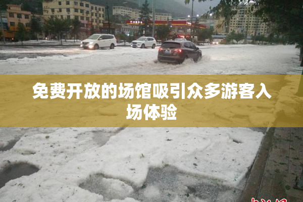 免费开放的场馆吸引众多游客入场体验