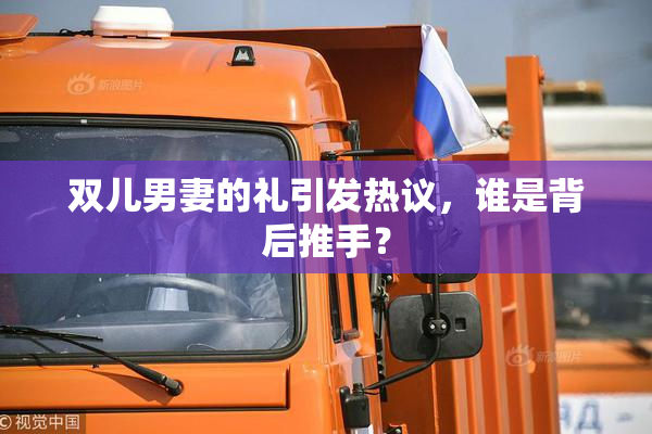 双儿男妻的礼引发热议，谁是背后推手？