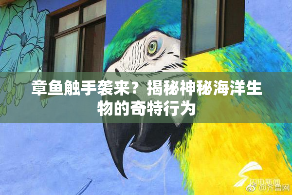 章鱼触手袭来？揭秘神秘海洋生物的奇特行为