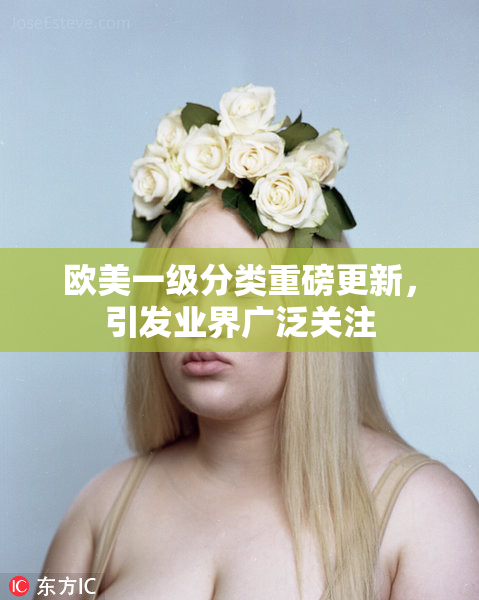 欧美一级分类重磅更新，引发业界广泛关注