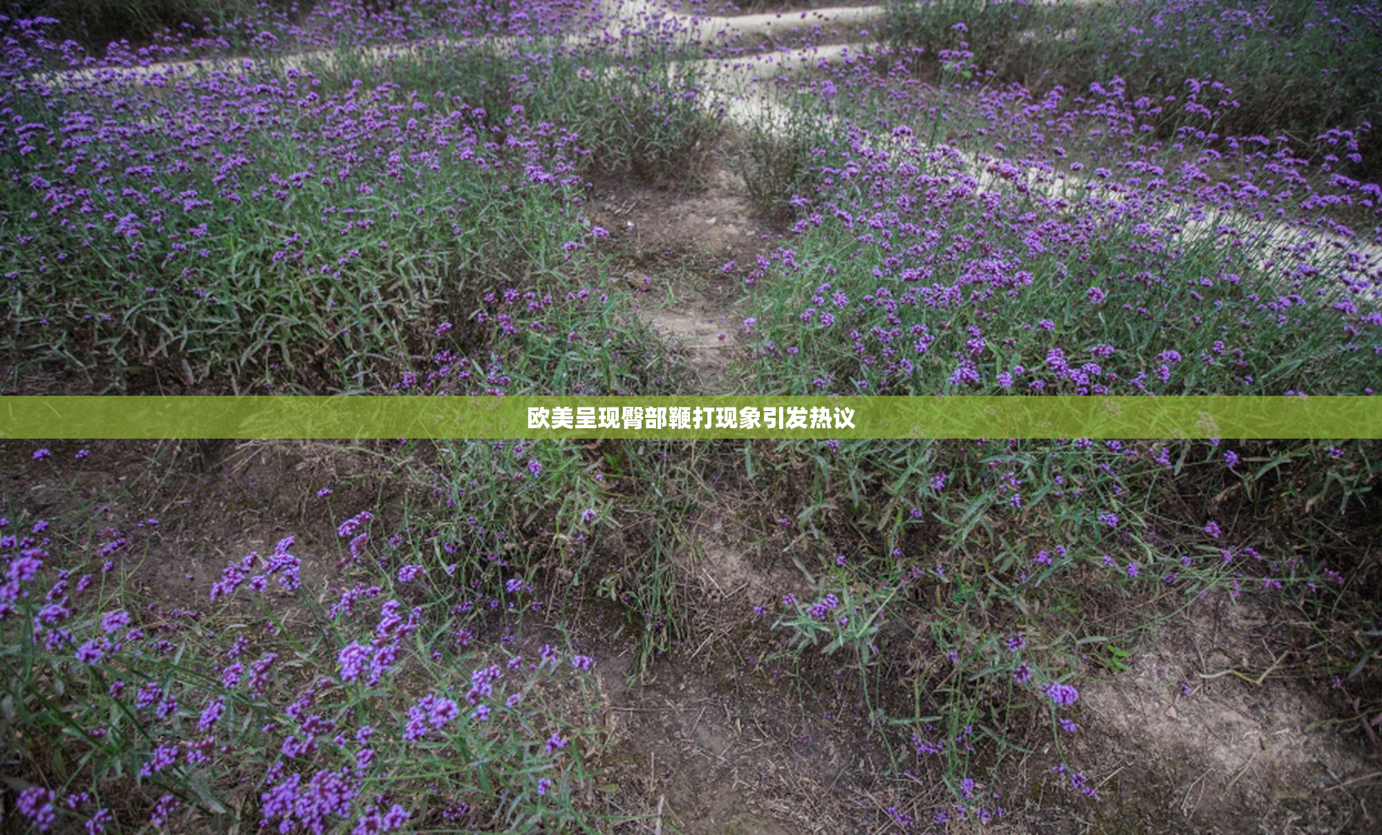 欧美呈现臀部鞭打现象引发热议