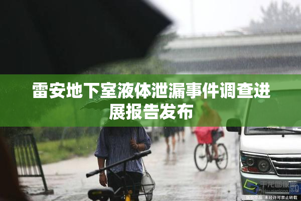 雷安地下室液体泄漏事件调查进展报告发布