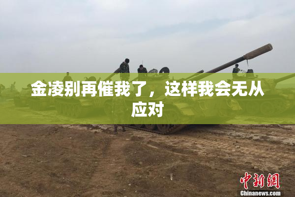 金凌别再催我了，这样我会无从应对