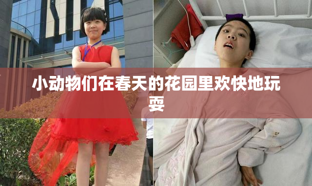 小动物们在春天的花园里欢快地玩耍