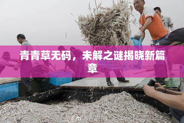 青青草无码，未解之谜揭晓新篇章