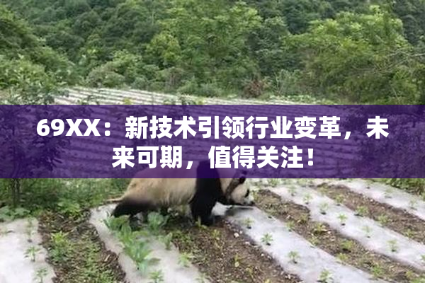 69ΧΧ：新技术引领行业变革，未来可期，值得关注！