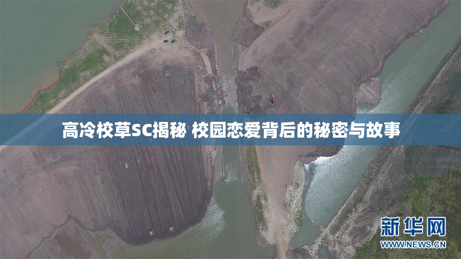 高冷校草SC揭秘 校园恋爱背后的秘密与故事