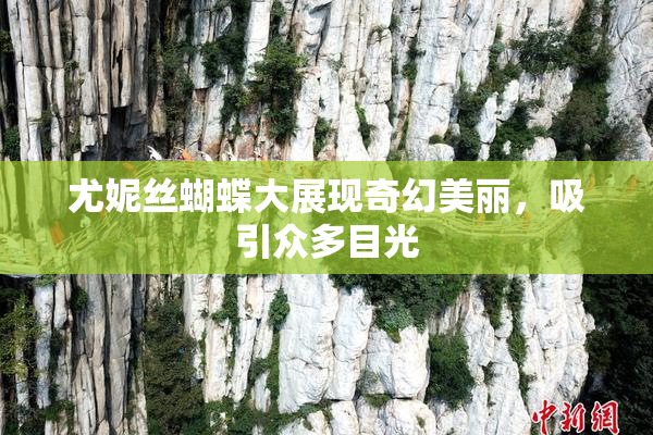 尤妮丝蝴蝶大展现奇幻美丽，吸引众多目光