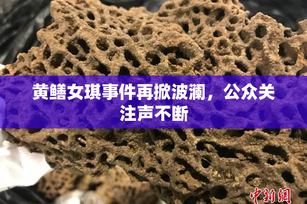 黄鳝女琪事件再掀波澜，公众关注声不断