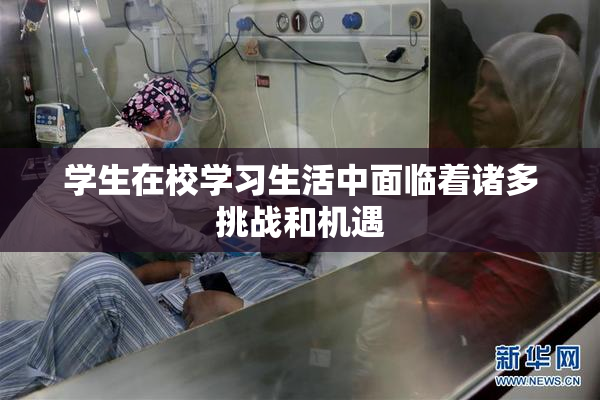 学生在校学习生活中面临着诸多挑战和机遇