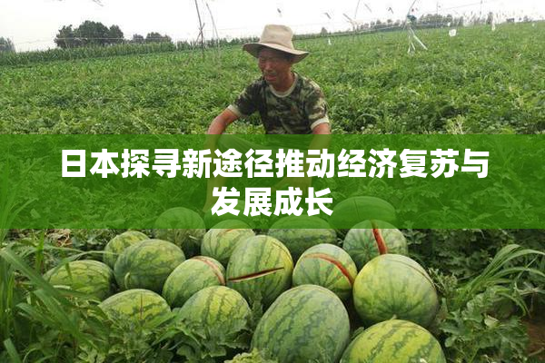 日本探寻新途径推动经济复苏与发展成长