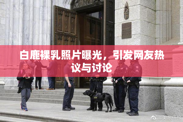 白鹿裸乳照片曝光，引发网友热议与讨论