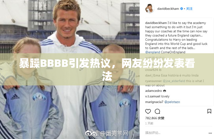 暴躁BBBB引发热议，网友纷纷发表看法