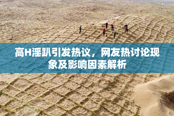 高H淫趴引发热议，网友热讨论现象及影响因素解析