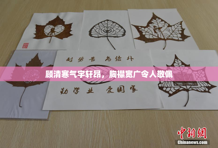 顾清寒气宇轩昂，胸襟宽广令人敬佩