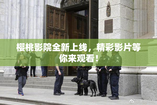 樱桃影院全新上线，精彩影片等你来观看！