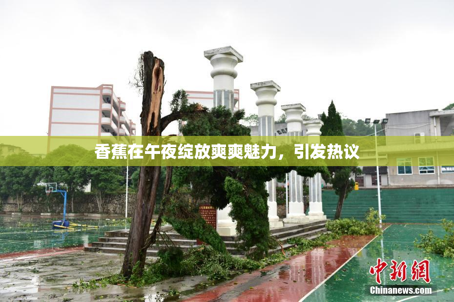 香蕉在午夜绽放爽爽魅力，引发热议