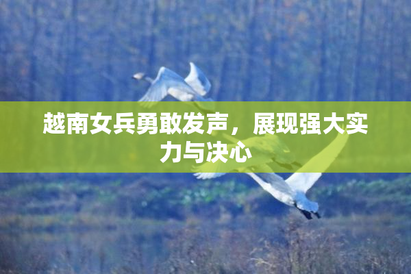 越南女兵勇敢发声，展现强大实力与决心