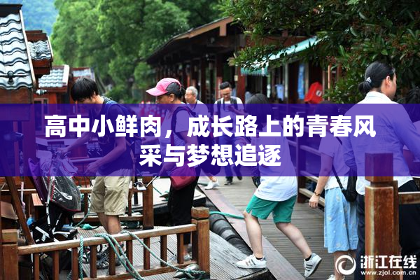 高中小鲜肉，成长路上的青春风采与梦想追逐