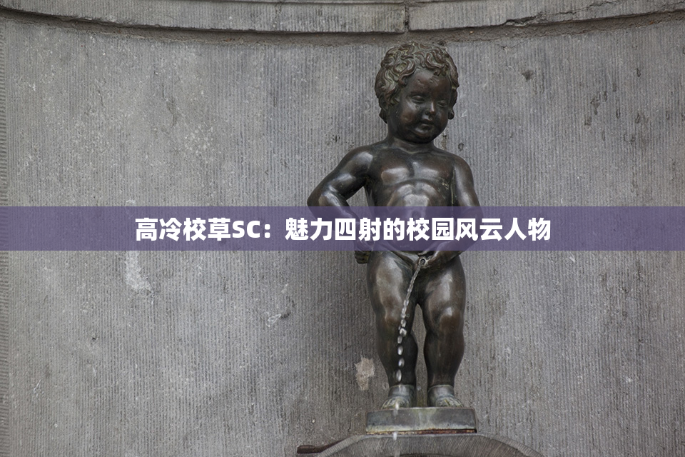 高冷校草SC：魅力四射的校园风云人物