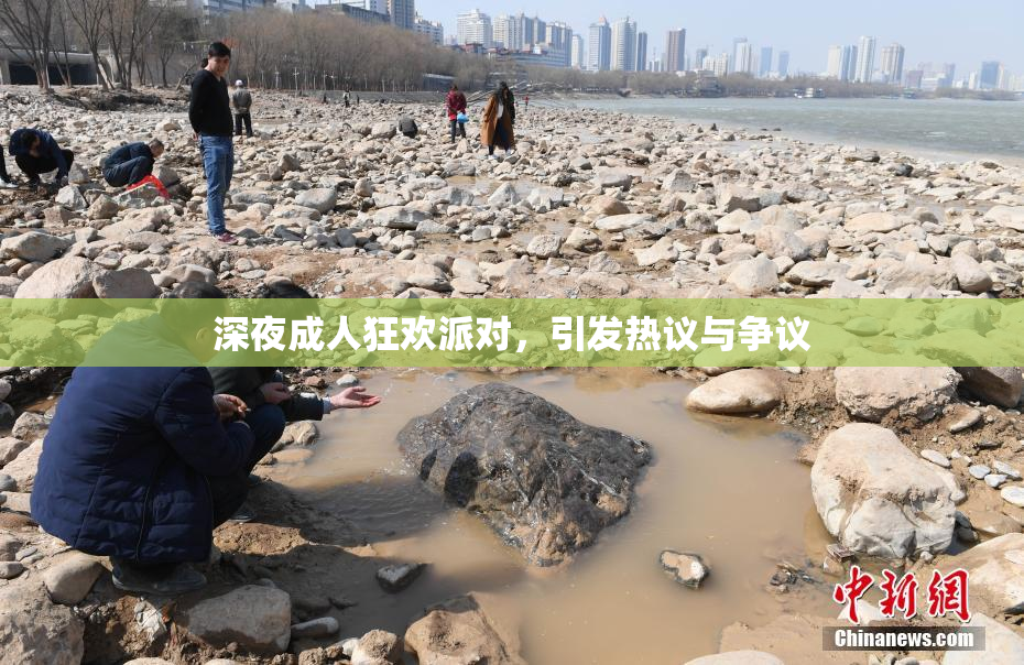 深夜成人狂欢派对，引发热议与争议
