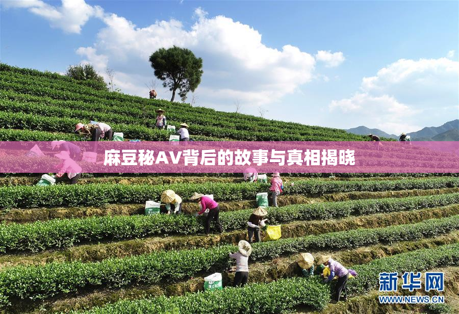 麻豆秘AV背后的故事与真相揭晓