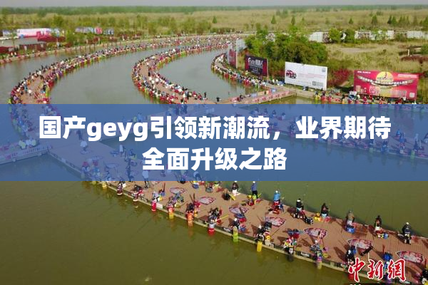 国产geyg引领新潮流，业界期待全面升级之路