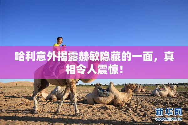 哈利意外揭露赫敏隐藏的一面，真相令人震惊！