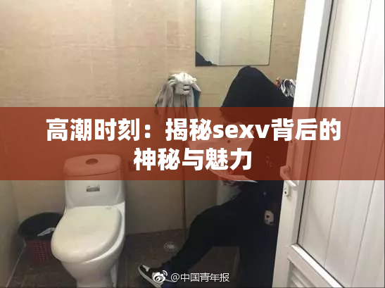 高潮时刻：揭秘sexv背后的神秘与魅力