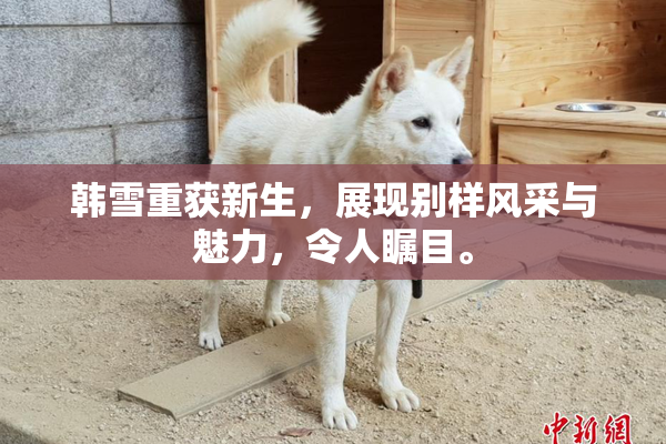 韩雪重获新生，展现别样风采与魅力，令人瞩目。