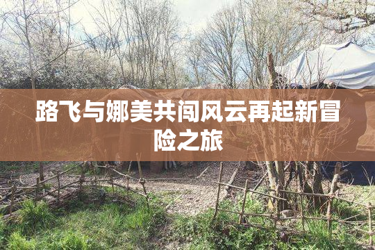路飞与娜美共闯风云再起新冒险之旅