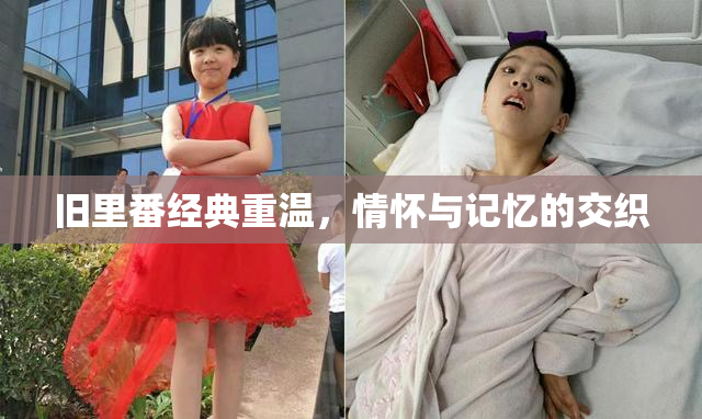 旧里番经典重温，情怀与记忆的交织