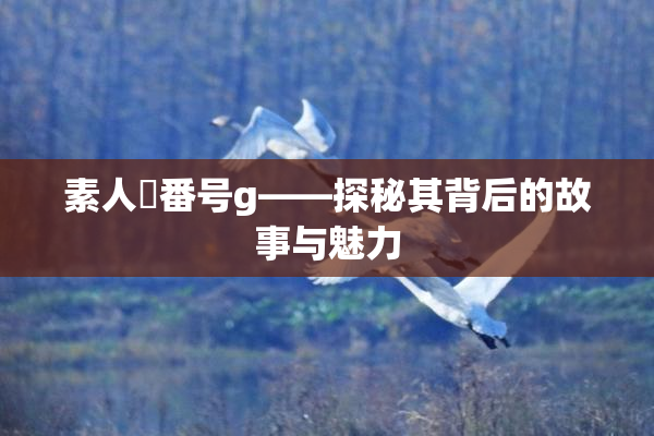 素人蘭番号g——探秘其背后的故事与魅力