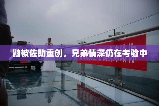 鼬被佐助重创，兄弟情深仍在考验中