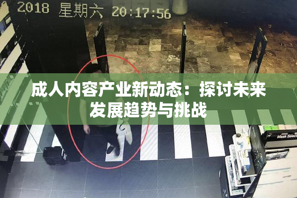 成人内容产业新动态：探讨未来发展趋势与挑战