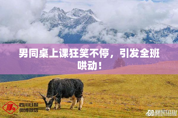 男同桌上课狂笑不停，引发全班哄动！