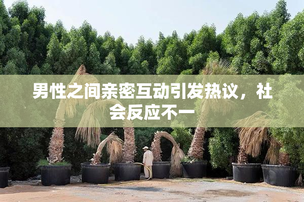 男性之间亲密互动引发热议，社会反应不一