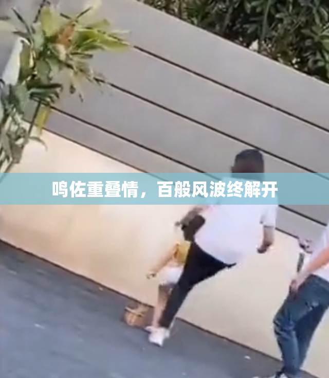 鸣佐重叠情，百般风波终解开