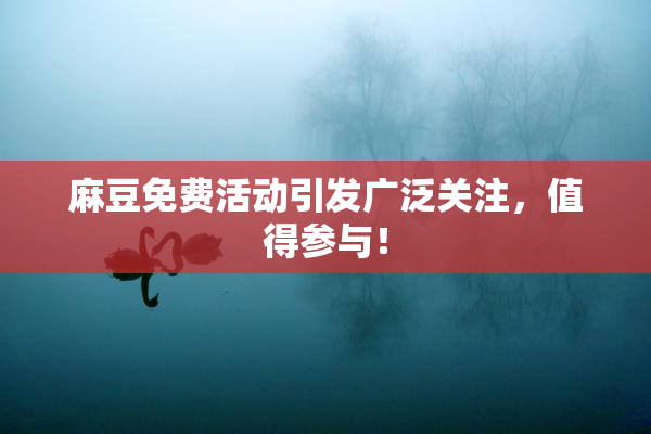 麻豆免费活动引发广泛关注，值得参与！