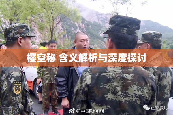樱空秘 含义解析与深度探讨