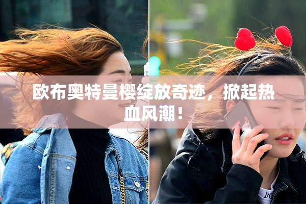 欧布奥特曼樱绽放奇迹，掀起热血风潮！