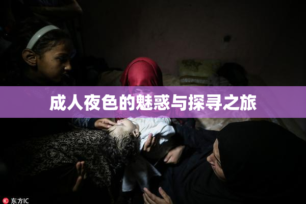 成人夜色的魅惑与探寻之旅